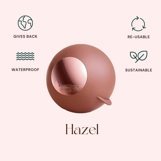 Portable Pet Hair Remover