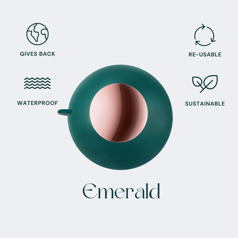 Portable Pet Hair Remover